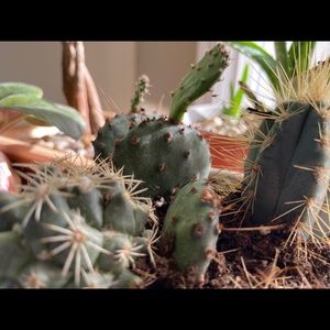 Meet your Posher, Kristyn